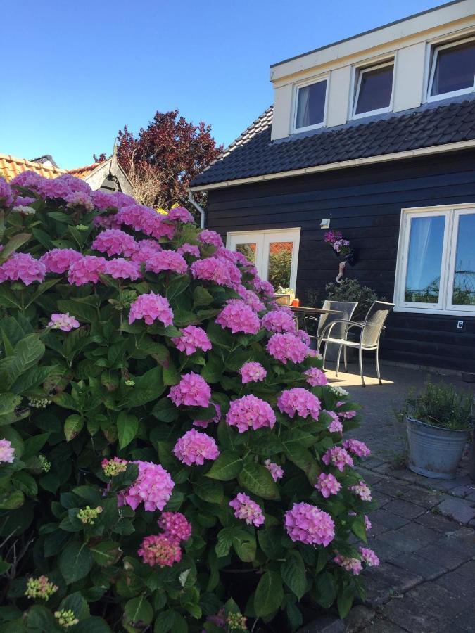T Huuske Tuinappartement Met Fantastisch Uitzicht, Nabij Zee Zonnemaire Екстериор снимка