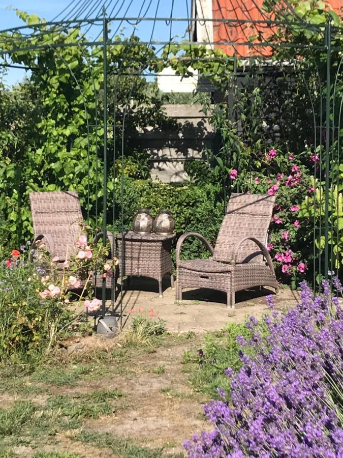 T Huuske Tuinappartement Met Fantastisch Uitzicht, Nabij Zee Zonnemaire Екстериор снимка
