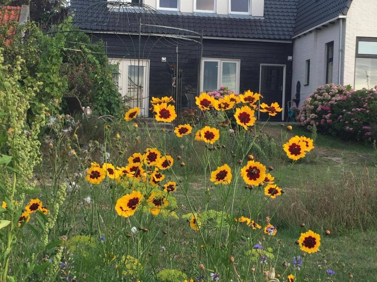 T Huuske Tuinappartement Met Fantastisch Uitzicht, Nabij Zee Zonnemaire Екстериор снимка